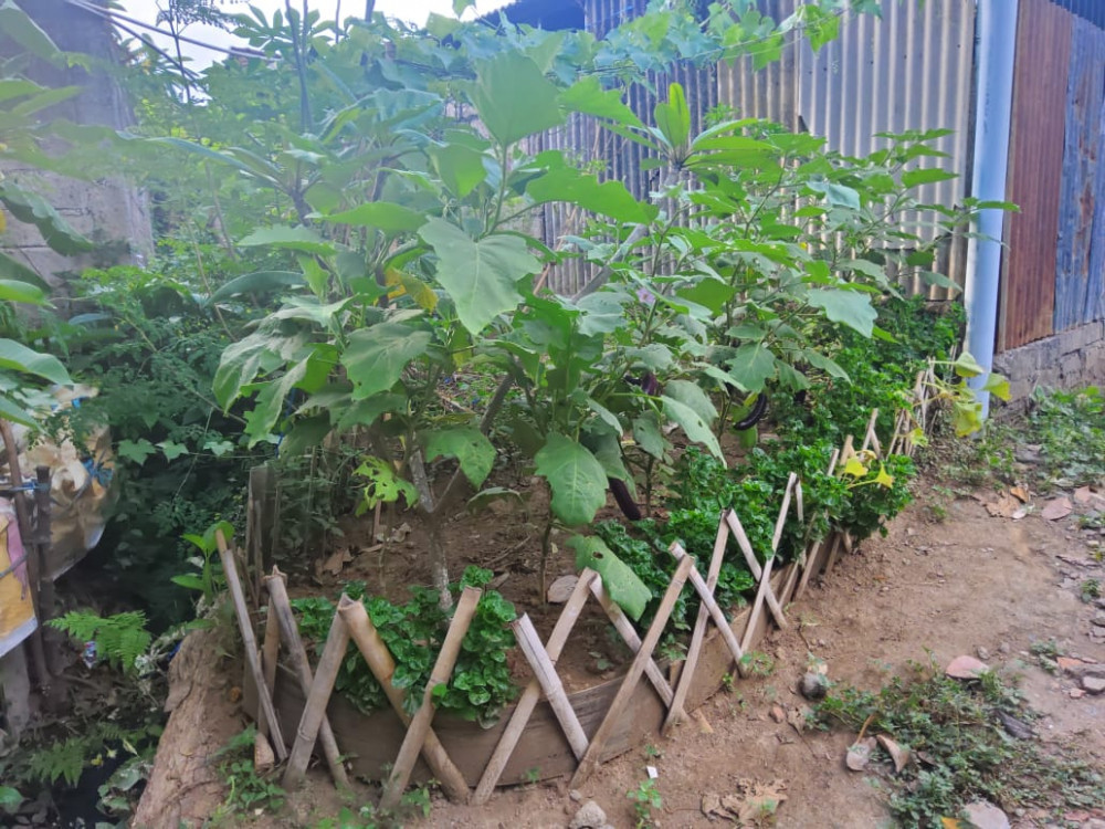 Project image